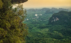 Amazon Rainforest: বিমান ভেঙে পড়েও রক্ষা, আমাজনের গহীন অরণ্যে তিন সপ্তাহ, বেঁচে ফিরল দুধের শিশু-সহ চার খুদে