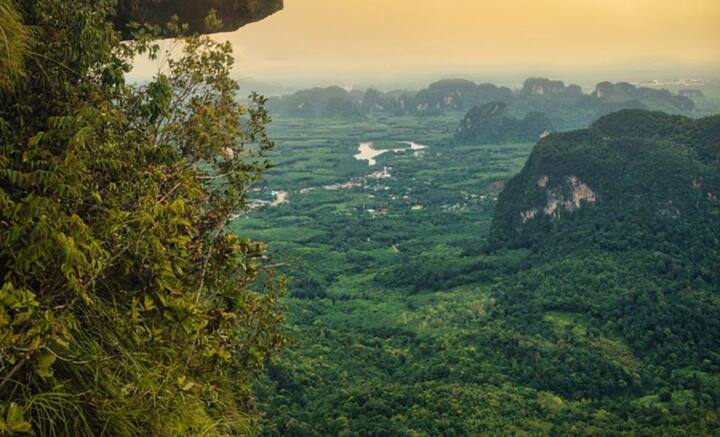 আজ,কাল বা পরশু নয়, প্রায় তিন সপ্তাহ আগে ভেঙে পড়ে বিমানটি। কারও জীবিত থাকার ভাবনা মাথায় আসা দূর, বিমানের ধ্বংসাবশেষ খুঁজে পাওয়ার আশাই ছেড়ে দিয়েছিলেন সকলে।