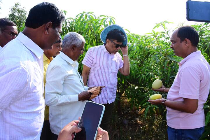 होमिओपॅथी औषध वापरण्याआधी दत्तात्रय घाडगे हे सेंद्रिय पद्धतीने शेती करतं होते.