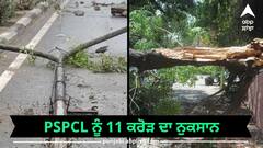 Punjab Weather: ਤੂਫਾਨ ਕਰਕੇ PSPCL ਨੂੰ 11 ਕਰੋੜ ਦਾ ਨੁਕਸਾਨ, ਡਿੱਗੇ ਦਰੱਖਤ, ਮਕਾਨ ਢਹੇ, ਲੋਕ ਹੋਏ ਪ੍ਰੇਸ਼ਾਨ