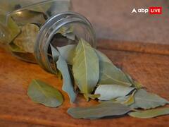 तेजपत्ता के इन टोटकों से प्रसन्न होती हैं लक्ष्मी जी, मिट जाते हैं दुख-दर्द