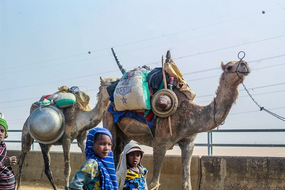 Nigeria Violence: सूडान के बाद एक और अफ्रीकी देश सुलगा, खूनी झड़प में 85 की मौत, हजारों लोगों को घर छोड़कर भागना पड़ा