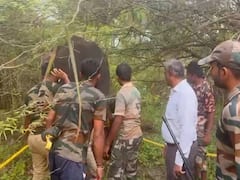 కుప్పంలో రెండు మదపుటేనుగులను బంధించిన అటవీ శాఖ అధికారులు