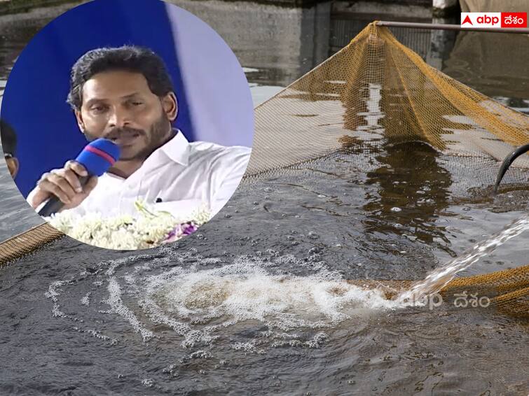 AP government is working to attract 3,800 crore investments in Aqua