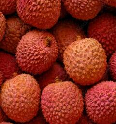 Litchi Health Risk: ਬਹੁਤ ਜ਼ਿਆਦਾ ਲੀਚੀ ਖਾਣਾ ਵੀ ਹੈ ਸਿਹਤ ਲਈ ਹਾਨੀਕਾਰਕ, ਸਰੀਰ 'ਚ ਹੋ ਸਕਦੀਆਂ ਹਨ 'ਗੰਭੀਰ ਬਿਮਾਰੀਆਂ'