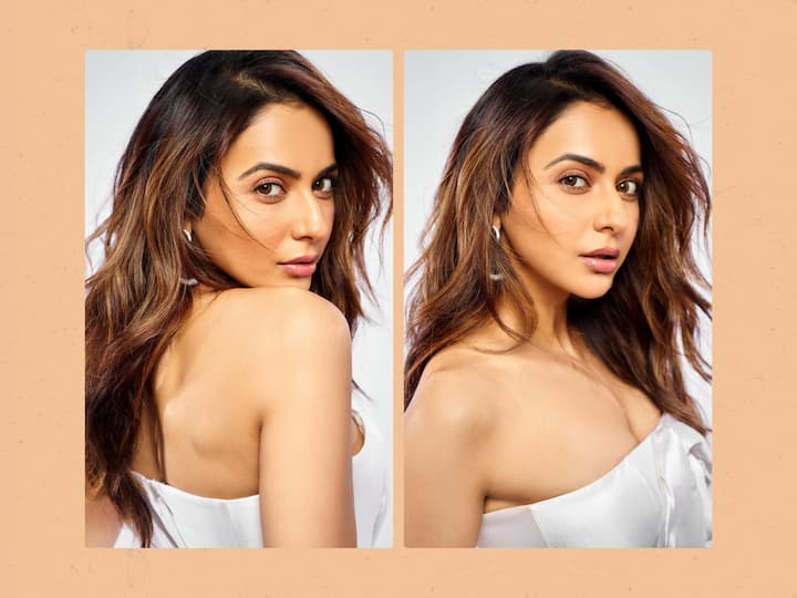 Rakul Preet Singh treated her Instagram family to a series of elegant and stylish pictures.