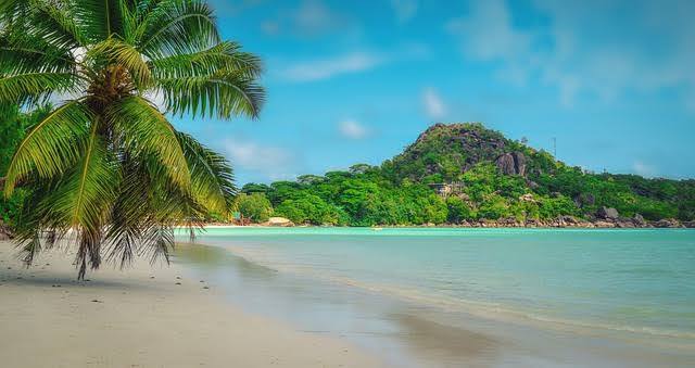 सेशेल्स (Seychelles): सेशेल्स बेहत खूबसूरत है. यहां के समुद्र तट अपनी सुंदरता के लिए दुनियाभर में फेमस हैं. हरे-भरे जंगल और समुद्र का किनारा लव कपल्स के लिए काफी खास हैं. यहां पर आप बोटिंग और स्थानीय संस्कृति का आनंद उठा सकते हैं.