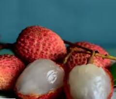 Litchi Health Risk: ਬਹੁਤ ਜ਼ਿਆਦਾ ਲੀਚੀ ਖਾਣਾ ਵੀ ਹੈ ਸਿਹਤ ਲਈ ਹਾਨੀਕਾਰਕ, ਸਰੀਰ 'ਚ ਹੋ ਸਕਦੀਆਂ ਹਨ 'ਗੰਭੀਰ ਬਿਮਾਰੀਆਂ'