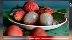 Litchi Health Risk: ਬਹੁਤ ਜ਼ਿਆਦਾ ਲੀਚੀ ਖਾਣਾ ਵੀ ਹੈ ਸਿਹਤ ਲਈ ਹਾਨੀਕਾਰਕ, ਸਰੀਰ 'ਚ ਹੋ ਸਕਦੀਆਂ ਹਨ 'ਗੰਭੀਰ ਬਿਮਾਰੀਆਂ'