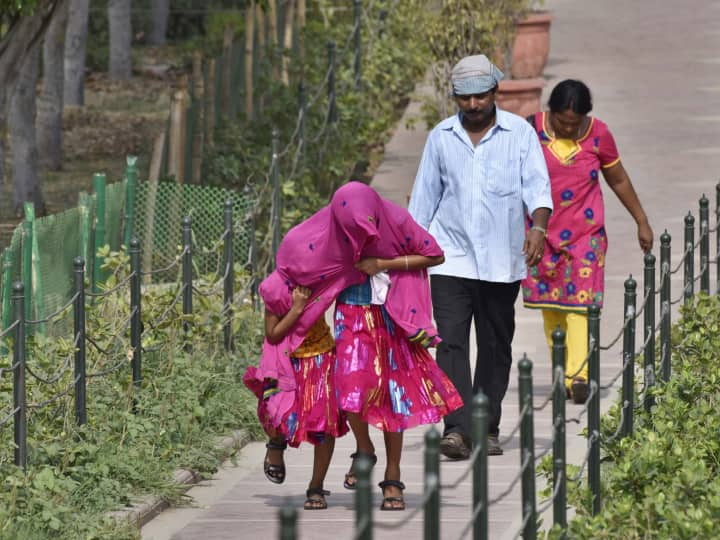 Weather Today Heatwave will increase across the country including Maharashtra  IMD warns Weather Today: राज्यासह देशभरात उन्हाचा तडाखा वाढणार, हवामान विभागाचा इशारा;अनेक राज्यात पारा 42 अंशावर जाण्याची शक्यता