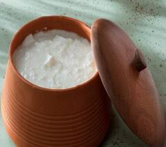 Curd Benefits: આ વાસણમાં દહીં જમાવવાથી, સ્વાસ્થ્યને પહોંચે છે જબરદસ્ત લાભ, જાણો ફાયદા