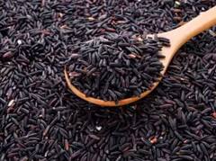 ਵਾਈਟ ਜਾਂ ਬ੍ਰਾਊਨ ਰਾਈਸ ਨਹੀਂ, ਡਾਇਬਟੀਜ਼ ਦੇ ਮਰੀਜ਼ਾਂ ਲਈ ਇਹ ਸਭ ਤੋਂ ਫਾਇਦੇਮੰਦ ਚਾਵਲ