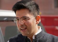 केंद्र के अध्यादेश पर राघव चड्ढा बोले- 'जिस राज्य में गैर BJP सरकार बनेगी वहां...'