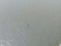 వైనతేయ వంతెనపై యువకుడు ఆత్మహత్యా యత్నం - కాపాడిన లారీ డ్రైవర్