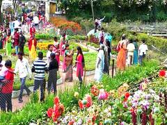 Kodaikanal: கோடை வெயிலை தணிக்க கொடைக்கானலில் குவியும் சுற்றுலா பயணிகள் - கூட்ட நெரிசலால் திணறும் மலைவழிச்சாலை