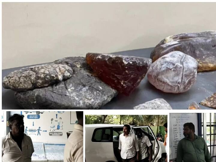 Thoothukudi crime news 18 kg of Ambergris worth Rs 32 crore seized in Thoothukudi Four people including former AIADMK councilor arrested TNN Crime: தூத்துக்குடியில் ரூ.32 கோடி மதிப்பிலான அம்பர் க்ரீஸ் பறிமுதல் - முன்னாள் அதிமுக கவுன்சிலர் கைது