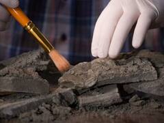 कार्बन डेटिंग शब्द कई बार सुना होगा, आज जानिए क्या होती है ये