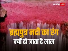 ब्रह्मपुत्र नदी का रंग लाल क्यों हो जाता है? वजह जान आप भी दबा लेंगे दांतों तले उंगली