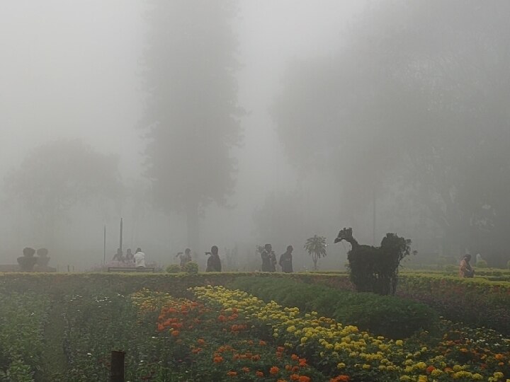 Yercaud Flower Show: ஏற்காடு கோடை விழா நாளை தொடக்கம் -  ஏற்பாடுகள் தீவிரம்