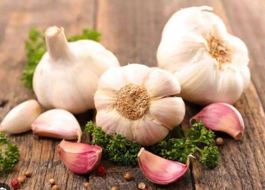 ਲਸਣ ਵਿੱਚ ਵਿਟਾਮਿਨ ਸੀ, ਕੇ, ਨਿਆਸੀਨ, ਥਿਆਮਿਨ ਅਤੇ ਫੋਲੇਟ ਵੀ ਹੁੰਦੇ ਹਨ। ਜੇਕਰ ਤੁਸੀਂ ਰੋਜ਼ਾਨਾ ਦੀ ਖੁਰਾਕ 'ਚ ਲਸਣ ਨੂੰ ਸ਼ਾਮਲ ਕਰਦੇ ਹੋ, ਤਾਂ ਤੁਸੀਂ ਇਨ੍ਹਾਂ 10 ਸਰੀਰਕ ਸਮੱਸਿਆਵਾਂ ਤੋਂ ਛੁਟਕਾਰਾ ਪਾ ਸਕਦੇ ਹੋ।