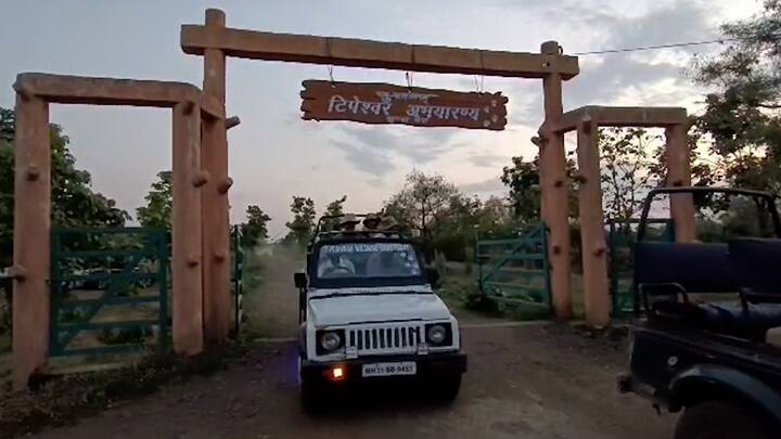 नेमका हा क्षण टिपण्यासाठी रखरखत्या उन्हात आंध्र प्रदेश, मुंबई, पुणे आदी ठिकाणांहून पर्यटक आले आहेत.