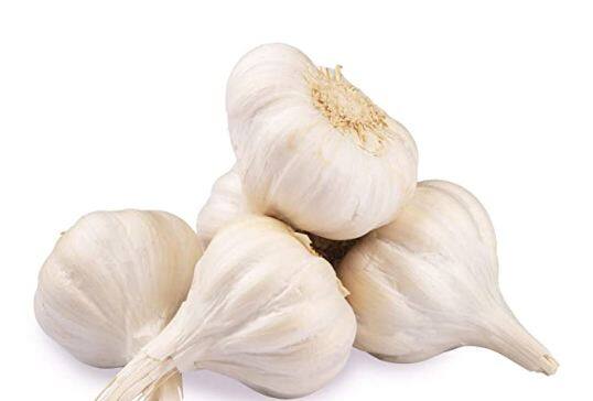 Benefits Of Eating Garlic In Summer: ਲਸਣ ਦੀ ਵਰਤੋਂ ਸਦੀਆਂ ਤੋਂ ਖਾਣਾ ਬਣਾਉਣ ਵਿਚ ਕੀਤੀ ਜਾਂਦੀ ਰਹੀ ਹੈ। ਲਸਣ ਇੱਕ ਅਜਿਹੀ ਸਬਜ਼ੀ ਹੈ, ਜਿਸ ਵਿੱਚ ਇੱਕ-ਇੱਕ ਕਰਕੇ ਬਹੁਤ ਸਾਰੇ ਜਬਰਦਸਤ ਔਸ਼ਧੀ ਗੁਣ ਹੁੰਦੇ ਹਨ। ਇਹੀ ਕਾਰਨ ਹੈ ਕਿ ਹਰ ਕਿਸੇ ਨੂੰ ਇਸ ਨੂੰ ਆਪਣੀ ਖੁਰਾਕ ਦਾ ਹਿੱਸਾ ਬਣਾਉਣਾ ਚਾਹੀਦਾ ਹੈ। ਲਸਣ ਵਿੱਚ ਐਂਟੀਬੈਕਟੀਰੀਅਲ ਅਤੇ ਐਂਟੀਸੈਪਟਿਕ ਗੁਣ ਵੀ ਹੁੰਦੇ ਹਨ। ਇਸ ਸਬਜ਼ੀ ਵਿੱਚ ਇੱਕ ਵਿਸ਼ੇਸ਼ ਤੱਤ ਐਲੀਸਿਨ ਵੀ ਪਾਇਆ ਜਾਂਦਾ ਹੈ, ਜੋ ਲਸਣ ਨੂੰ ਕਈ ਸਿਹਤ ਲਾਭਾਂ ਨਾਲ ਭਰਪੂਰ ਬਣਾਉਂਦਾ ਹੈ। ਪੋਟਾਸ਼ੀਅਮ, ਜ਼ਿੰਕ, ਮੈਗਨੀਸ਼ੀਅਮ ਅਤੇ ਫਾਸਫੋਰਸ ਵਰਗੇ ਕਈ ਖਣਿਜ ਲਸਣ ਵਿੱਚ ਭਰਪੂਰ ਮਾਤਰਾ ਵਿੱਚ ਪਾਏ ਜਾਂਦੇ ਹਨ।
