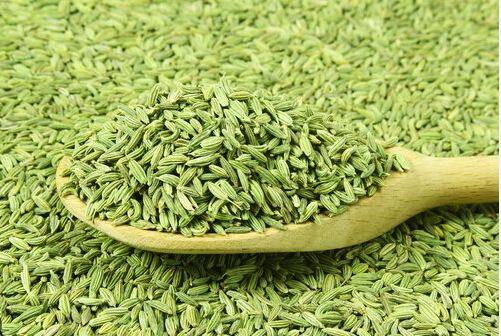 ਇਸ 'ਚ ਐਂਟੀਆਕਸੀਡੈਂਟ ਅਤੇ ਫਾਈਟੋਨਿਊਟ੍ਰੀਐਂਟਸ ਪਾਏ ਜਾਂਦੇ ਹਨ। ਜਿਸ ਨਾਲ ਵਾਲਾਂ ਦੇ ਝੜਨ ਦੀ ਸਮੱਸਿਆ ਖਤਮ ਹੁੰਦੀ ਹੈ। ਸੌਂਫ ਦੇ ਇਸਤੇਮਾਲ ਨਾਲ ਵਾਲਾਂ ਦਾ ਝੜਨਾ, ਵਾਲਾਂ ਦਾ ਸਮੇਂ ਤੋਂ ਪਹਿਲਾਂ ਸਫੈਦ ਹੋਣਾ, ਸਕੈਲਪ ਇੰਨਫੈਕਸ਼  (Hair Care Tips) ਜਿਹੀਆਂ ਸਮੱਸਿਆਵਾਂ ਤੋਂ ਬਚਿਆ ਜਾ ਸਕਦਾ ਹੈ। ਆਓ ਜਾਣਦੇ ਹਾਂ ਸੌਂਫ ਦੇ ਫਾਇਦੇ...