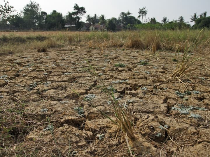 IMD predicted less rain during monsoon this year which will affect crops farmers Monsoon Rain: मानसून में देरी, कम बारिश की संभावना... इन राज्यों के किसानों को उठाना पड़ सकता है नुकसान