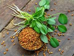 Benefits of Fenugreek : ਔਰਤਾਂ ਲਈ ਕਿਸੇ ਵਰਦਾਨ ਤੋਂ ਘੱਟ ਨਹੀਂ ਹੈ ਮੇਥੀ, ਇਨ੍ਹਾਂ ਰੋਗਾਂ ਤੋਂ ਵੀ ਮਿਲ ਸਕਦੈ ਛੁਟਕਾਰਾ