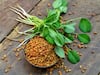 Benefits of Fenugreek : ਔਰਤਾਂ ਲਈ ਕਿਸੇ ਵਰਦਾਨ ਤੋਂ ਘੱਟ ਨਹੀਂ ਹੈ ਮੇਥੀ, ਇਨ੍ਹਾਂ ਰੋਗਾਂ ਤੋਂ ਵੀ ਮਿਲ ਸਕਦੈ ਛੁਟਕਾਰਾ