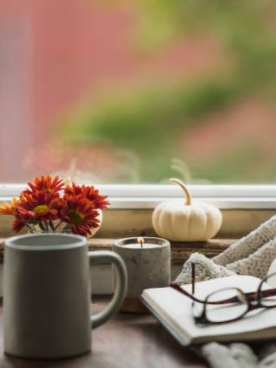 ”சர்வதேச தேயிலை தினம்” தேயிலையின் பயன்கள்..