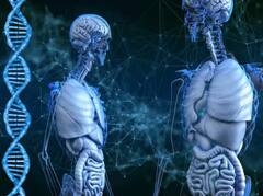 ਧਰਤੀ ‘ਤੇ ਹਰ ਥਾਂ ਫੈਲਿਆ DNA, ਗਲਤ ਹੱਥਾਂ ‘ਚ ਗਿਆ ਤਾਂ ਹੋ ਜਾਵੇਗੀ ਵੱਡੀ ਮੁਸ਼ਕਿਲ