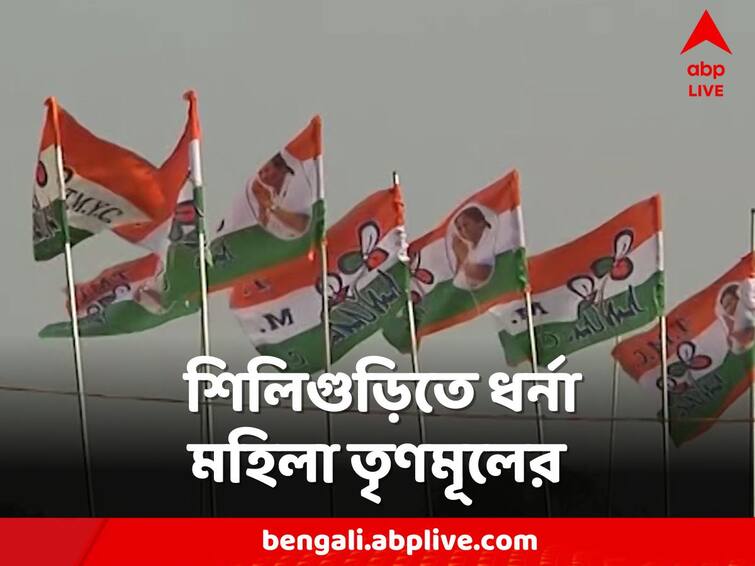 Complaints of deprivation against the central Agitation in Siliguri by Trinamool Congress TMC Agitation: কেন্দ্রের বিরুদ্ধে বঞ্চনার অভিযোগ, এবার শিলিগুড়িতে ধর্না মহিলা তৃণমূলের