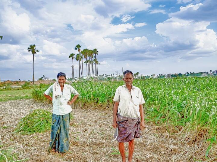 पीएम किसान पोर्टल पर आप इसके लिए पात्र हैं या नहीं इसकी जानकारी ले सकते हैं. साथ ही बेनिफिशियर लिस्ट में आप अपना नाम चेक कर सकते हैं.