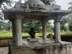 महाराणा प्रताप ने जीती थीं मुगलों की 36 छावनियां, जानें कहां ली थी अंतिम सांस