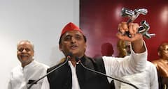 Akhilesh Yadav News: भारतीय राजनीति के धुरंधर खिलाड़ी अखिलेश यादव कितने पढ़े लिखे हैं? परिवार से मिली है विरासत