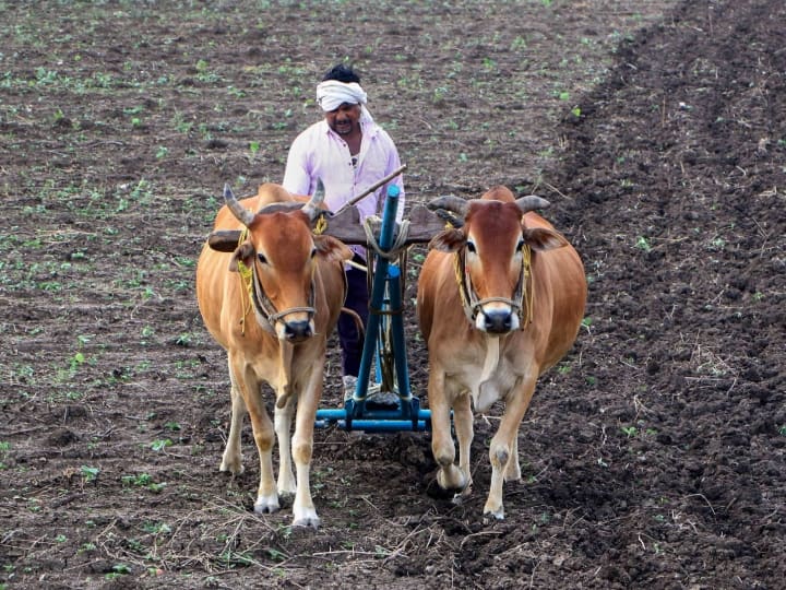 pm kisan yojana can take advantage by doing farming on other people land PM Kisan Yojana: क्या दूसरे के खेत में खेती करके उठा सकते हैं पीएम किसान योजना का लाभ? जानिए जवाब