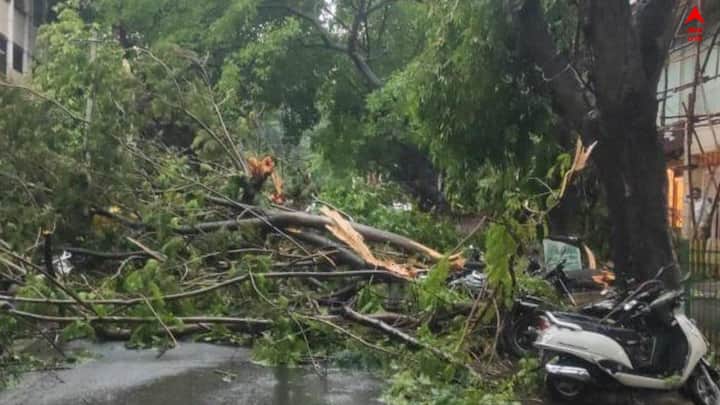বন্ধ হয়ে যায় আলো, এসি। চরম দুর্ভোগের শিকার হন যাত্রীরা। যাত্রা শুরুর দ্বিতীয় দিনেই বিপত্তি পুরী-হাওড়া 'বন্দে ভারত' এক্সপ্রেসে।
