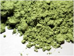 Spirulina: గుండె వ్యాధులు, క్యాన్సర్, కిడ్నీ రోగాలు రాకుండా ఉండాలంటే దీన్ని తినండి