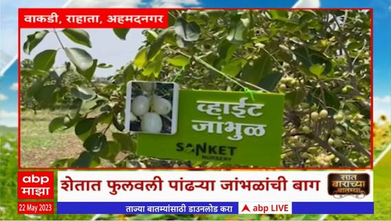 Saat Barachya Batmya : 7/12 : शेतात फुलवली पांढऱ्यात जांभाळांची बाग : ABP Majha
