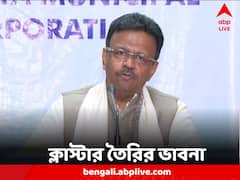 অবশেষে হুঁশ ফিরল সরকারের! বেআইনি বাজি কারখানা বন্ধে ক্লাস্টার তৈরির ভাবনা