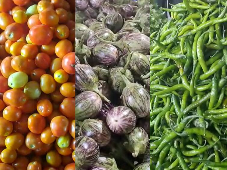 Latur News Farmers no price for vegetables in Latur market farmers are in trouble Latur News: शेतकऱ्यांच्या घामाला मिळेना दाम;  लातूरच्या बाजारात भाजीपाल्याला भाव नाही, शेतकरी सापडला संकटात