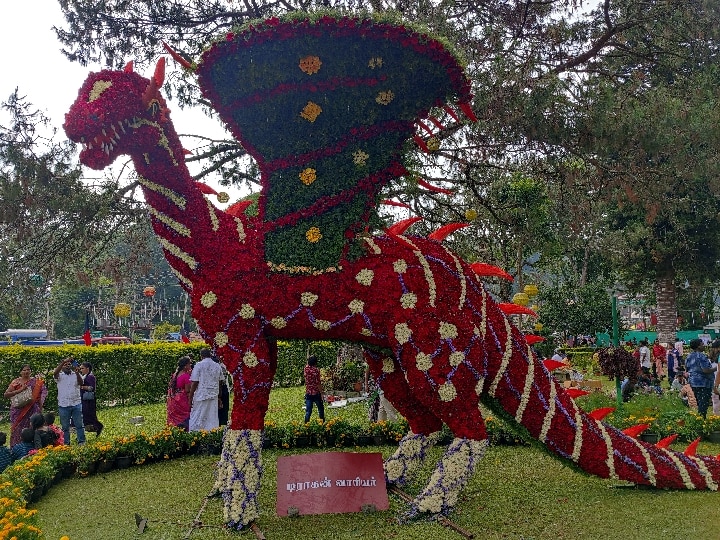 Yercaud Flower Show Inauguration: ஏற்காட்டில் சிறப்பாக தொடங்கிய  46வது கோடை விழா மற்றும் மலர்கள் காட்சி