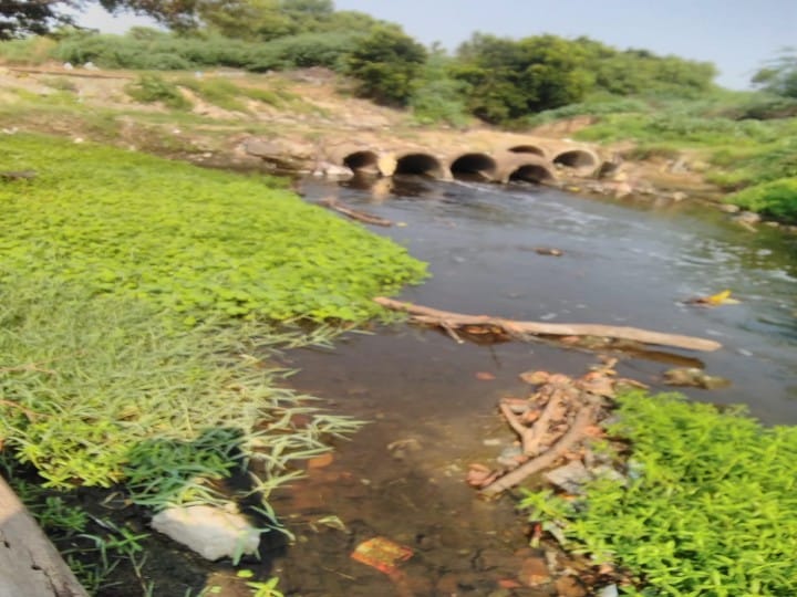 Nellai: நுரைபொங்க தாமிரபரணியில் கரைபுரண்டோடும் பாதாளச் சாக்கடை கழிவுநீர் - கண்டுகொள்ளாத மாநகராட்சி நிர்வாகம்