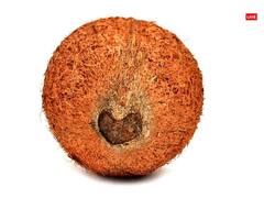 Pushya Nakshatra 2023: आज गुरु पुष्य योग में घर लाएं ये 5 शुभ चीजें, कभी खाली नहीं होगी तिजोरी, जानें कब बन रहा है ये योग