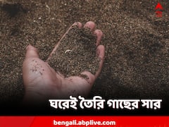 Plant Tips: গাছের শখ? ছোট্ট বাগানের জন্য বাড়িতেই তৈরি করুন সার