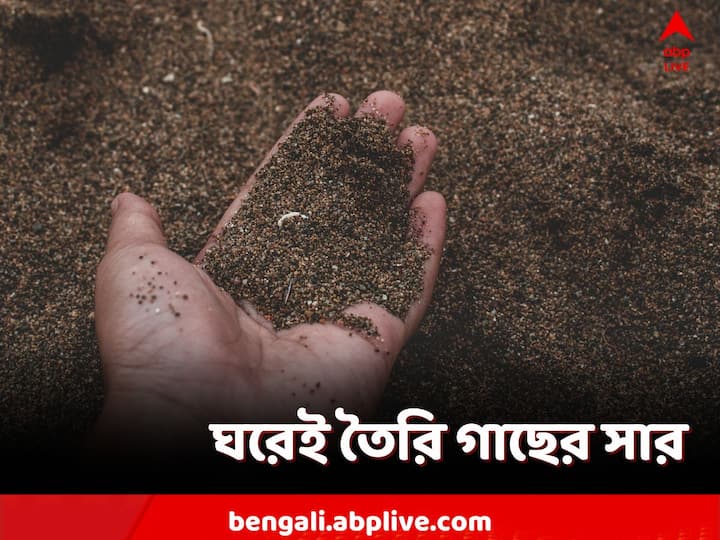 Vermi compost Making: খাবার, আনাজের খোসা, তরকারির ফেলে দেওয়া অংশ পচিয়ে সহজেই তৈরি করা যায় কম্পোস্ট।