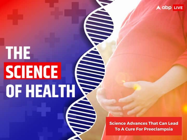 World Preeclampsia Day 2023 Biomarkers Antioxidants Science Advances That Can Lead To A Cure For Preeclampsia World Preeclampsia Day: Biomarkers, Antioxidants – Science Advances That Can Lead To A Cure For Preeclampsia
