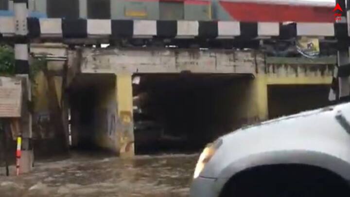 ঝড়ের জেরে , শহরের একাধিক এলাকায় শিকড় উপড়ে গাছ পড়ে রয়েছে রাস্তায়।