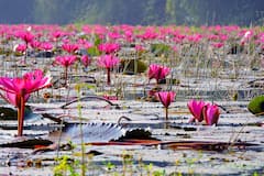 अगर गर्मी से हो रहे हैं हलकान तो यहां आइए और पाइए गजब का सुकून और राहतभरी मुस्कान